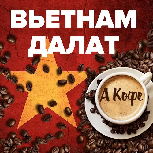 Вьетнамский кофе. Как его выращивают. Какие сорта бывают. Как готовят. Фото