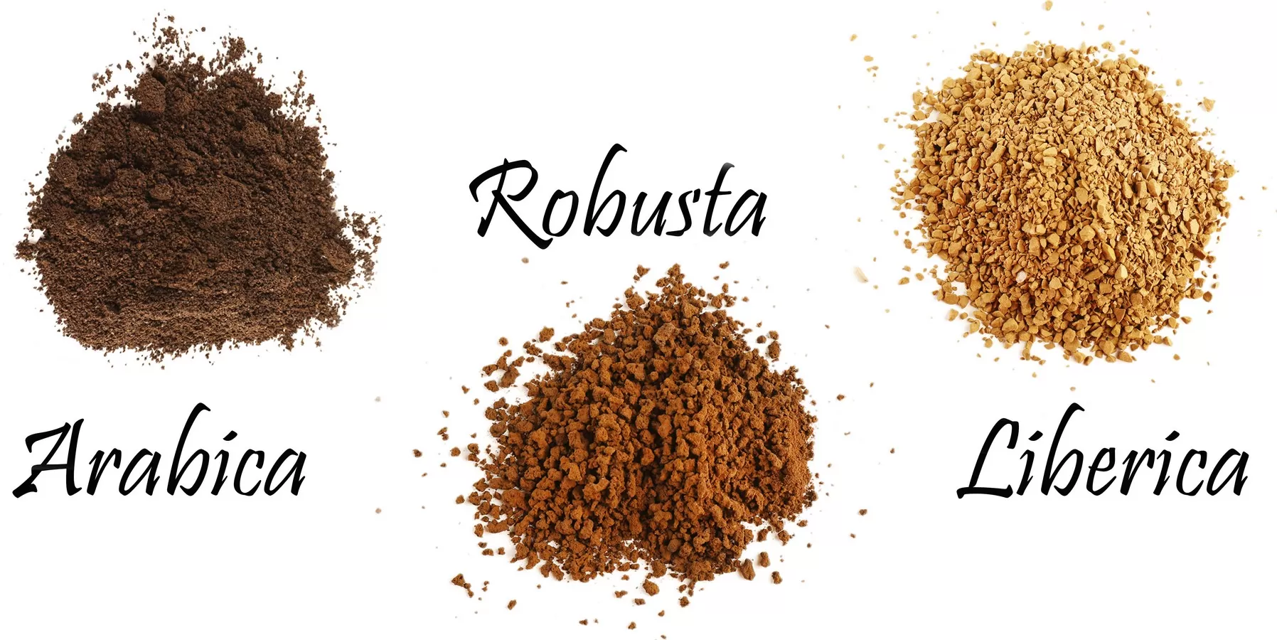 Либерика - интересное открытие в мире кофе Фото