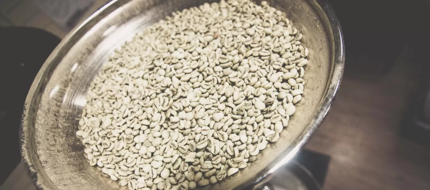 Белый кофе: происхождение и приготовление Фото