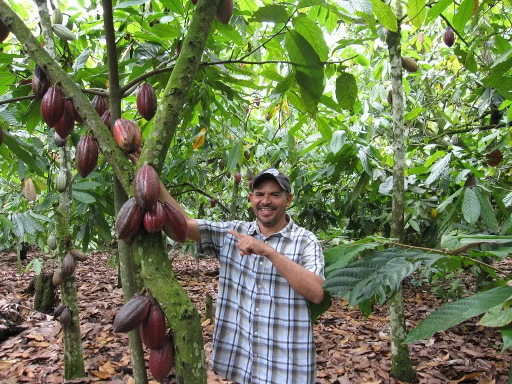 tensie-dr-2-cocoa.jpg