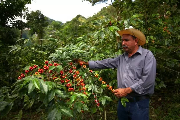 Coffee_Farmer_in_Mexico.jpg
