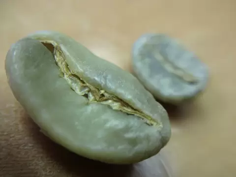зеленый марагоджип зеленый марагоджип