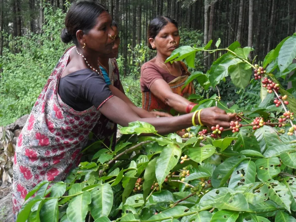indian_farmers.jpg