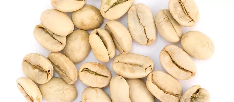 unroasted-indian-monsooned-malabar-wide.jpg