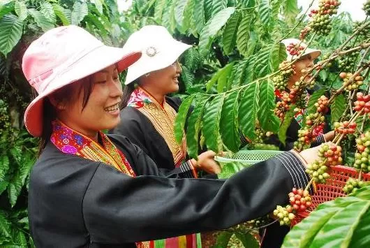 vietnamcoffee
