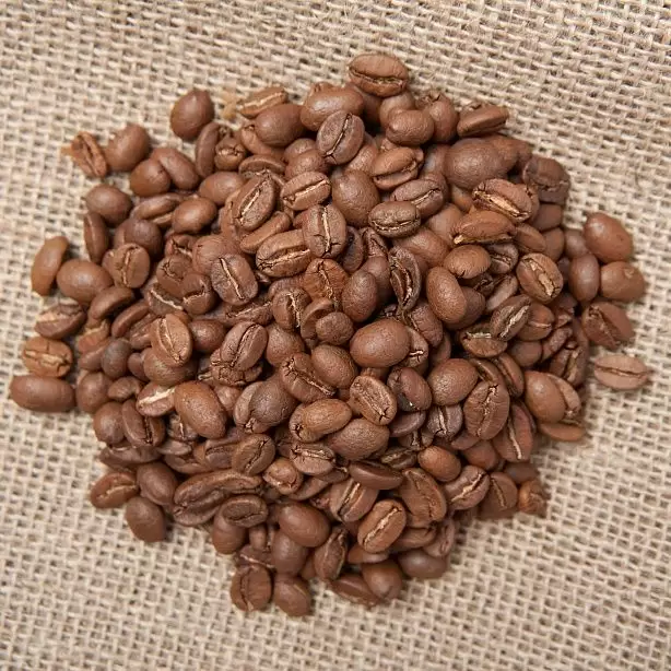 Фото Сальвадор SHG 500 г