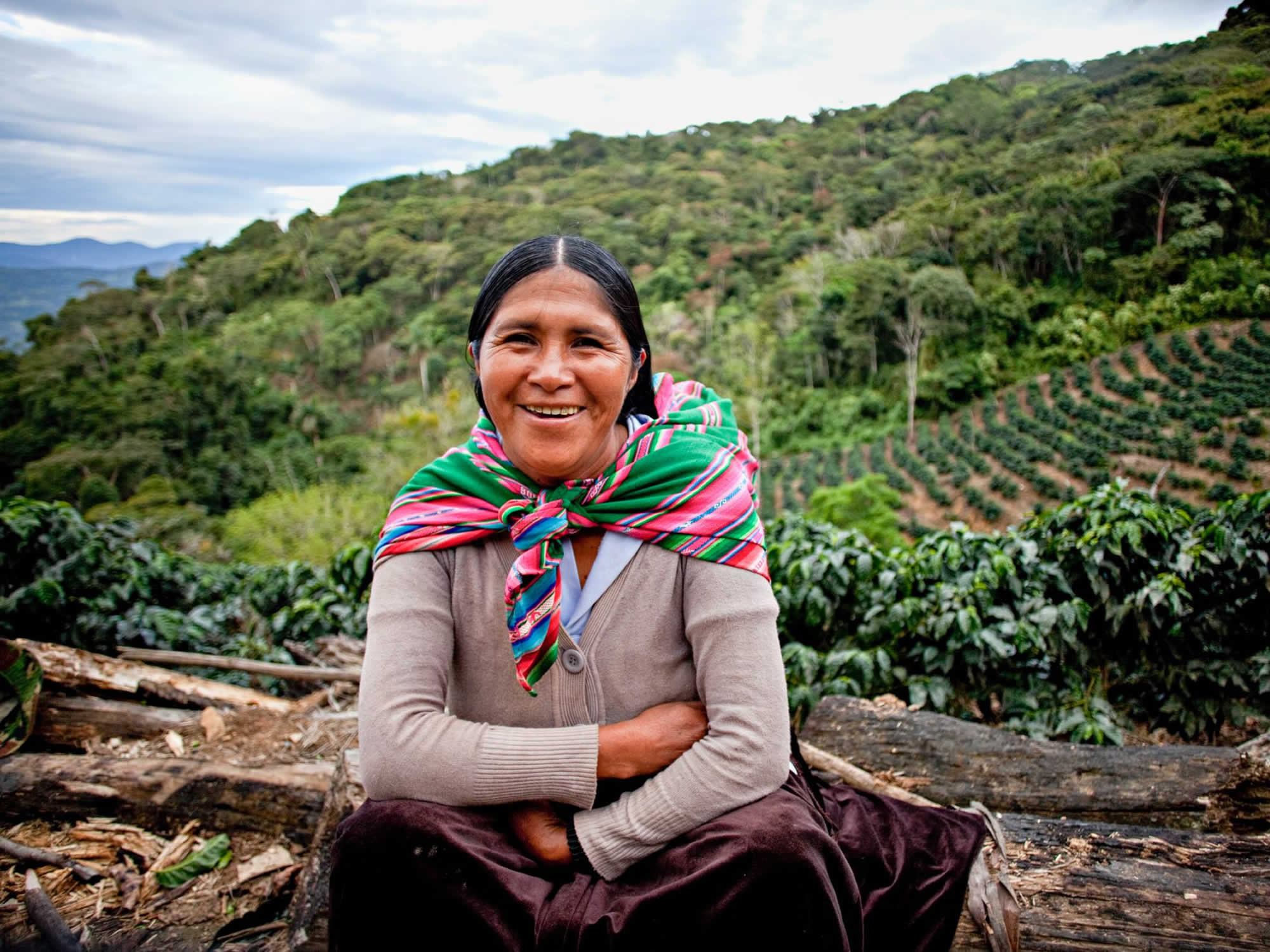 Кофе из Боливии: история и сорта Фото