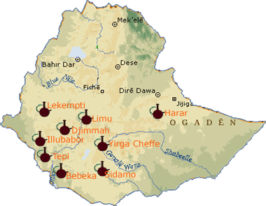 Кофейные регионы Эфиопии