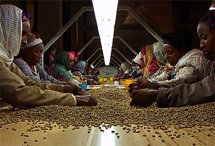 кофе из Эфиопии